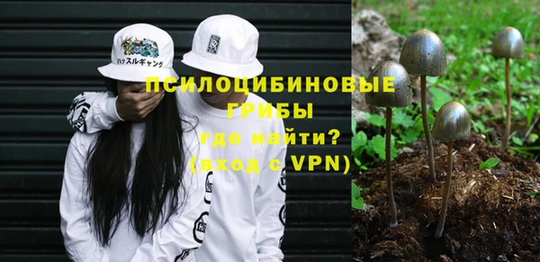 прущие крисы Алзамай